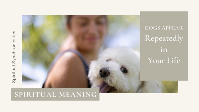 WHY DO DOGS APPEAR REPEATEDLY IN YOUR LIFE? 4 spiritual messengers