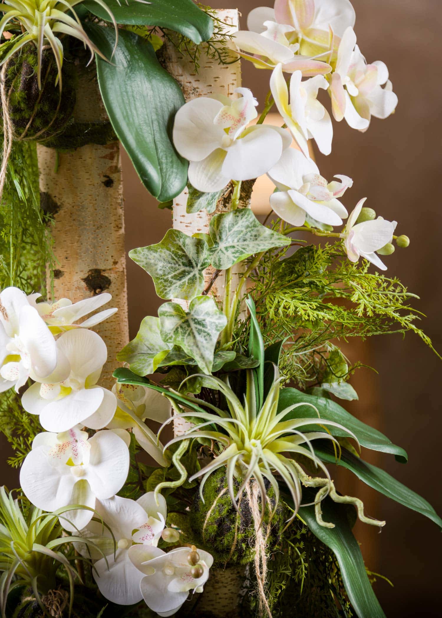Dettaglio-Fiori-Orchidea-bianca