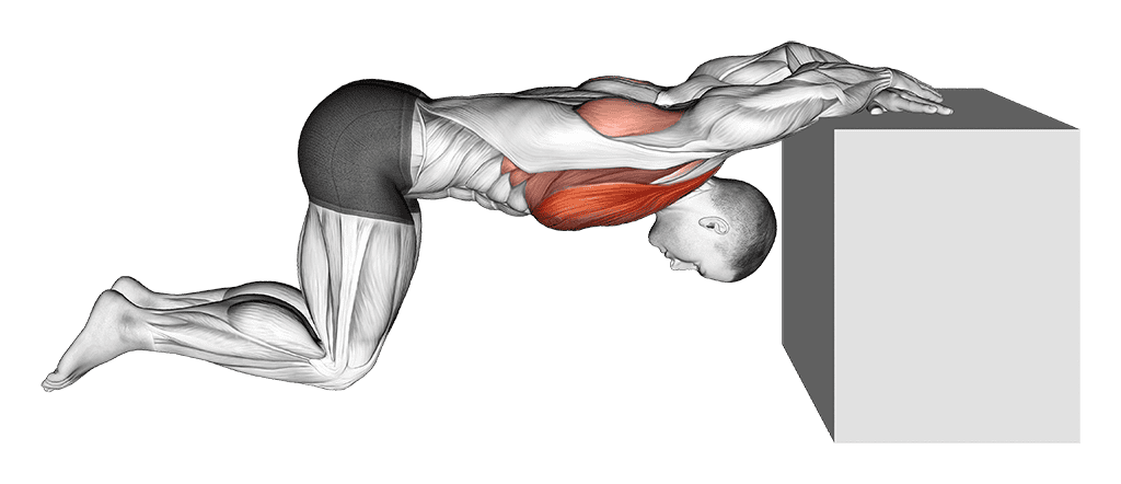 Kneeling Chest Opener Stretch (Cooldown)