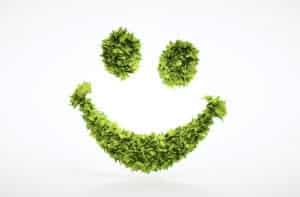 Vibrant green leafy smiley face made of fresh foliage on a white background.
