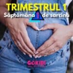Săptamâna 1 de sarcină – Semne, simptome și cum să ai grijă de tine și de copil saptamana 1 de sarcina