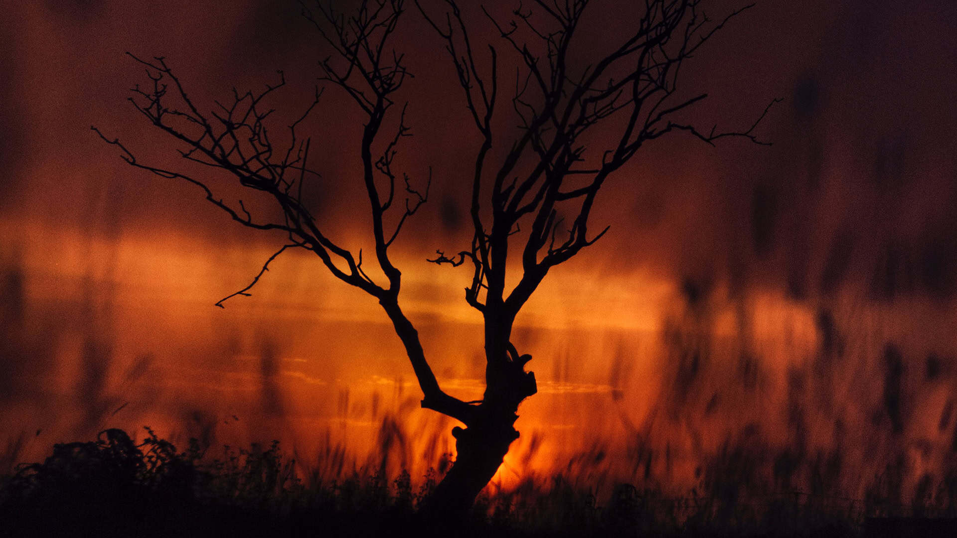 Hitzewelle Cerberus in Europa Reisekompass