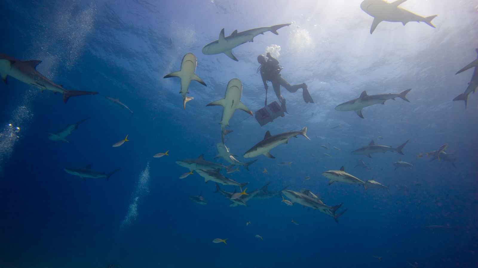 14 Ultimate Experiences Around the World for Thrill Seekers