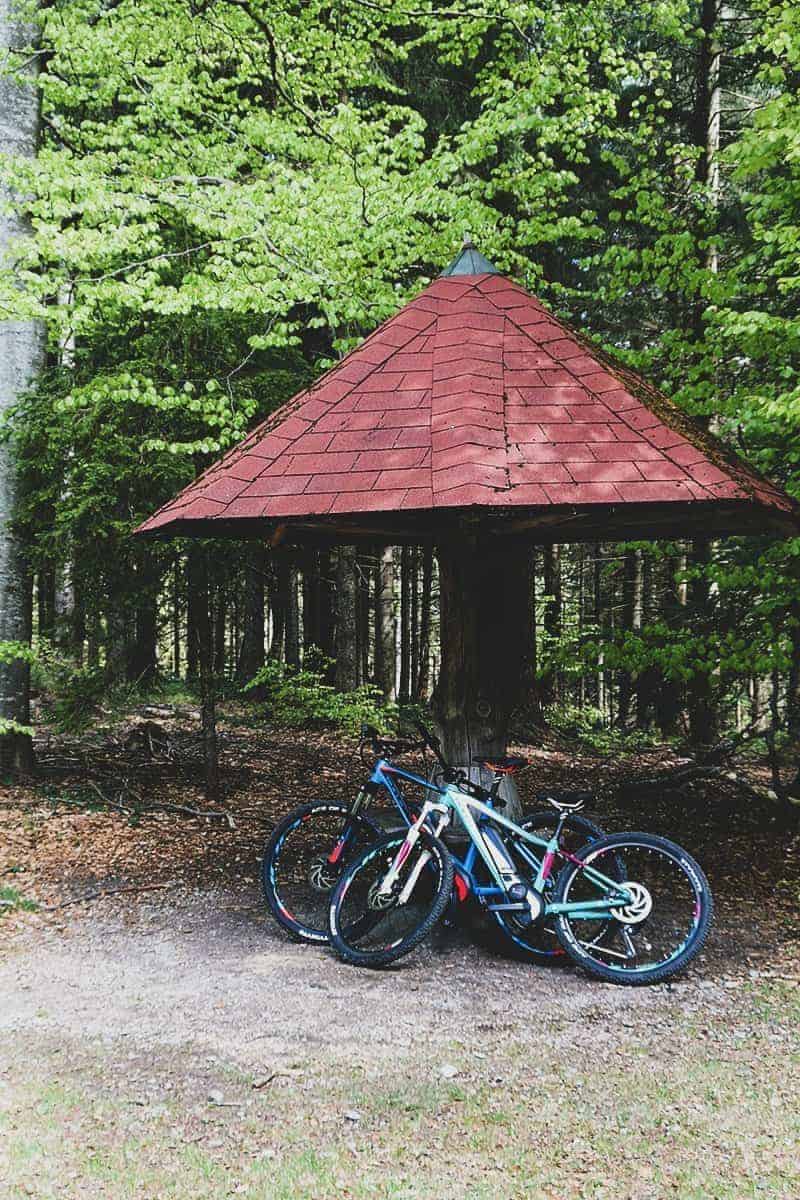 E-Bikes am Waldesrand unter einer Hütte