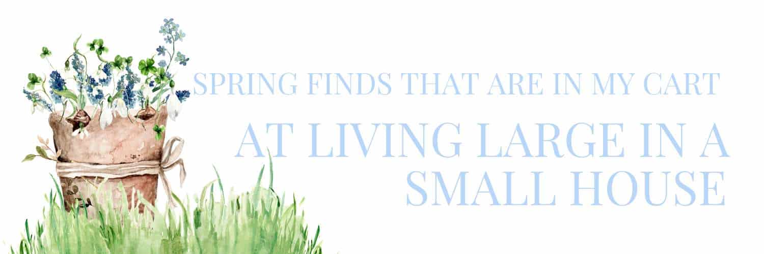 A watercolor-style image of a flower pot filled with blue and white flowers, set in grass, with the text: “Spring finds and a new recipe card that are in my cart at Living Large in a Small House.”.