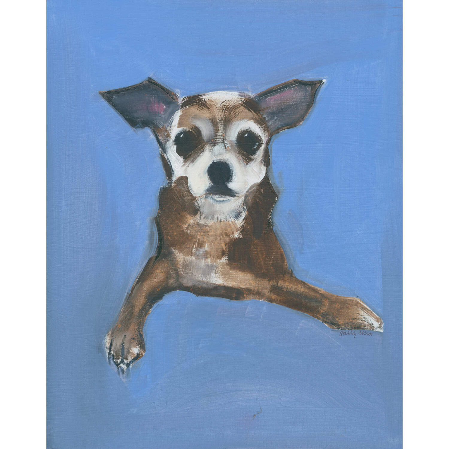 4697C Chihuahua on Blue Background – Sally Muir