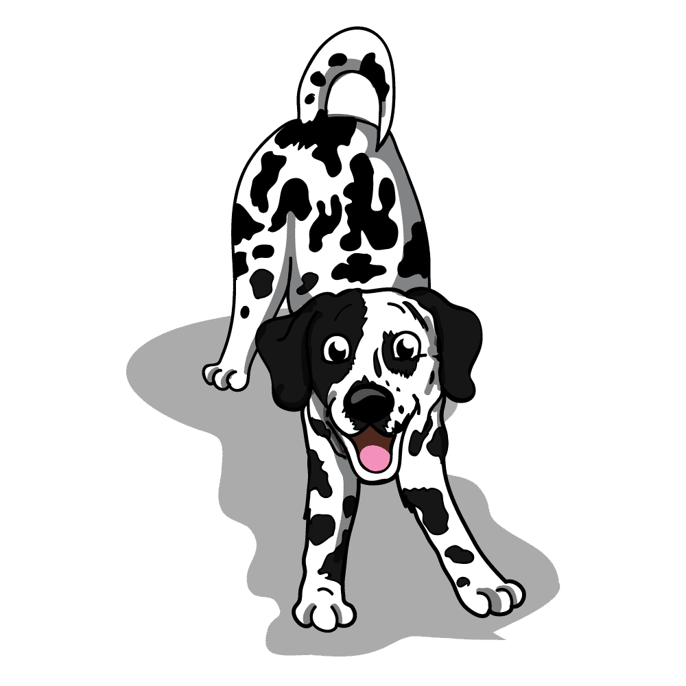 best puppy training near me – Go Anywhere Dog®, Minneapolis & Twin Cities, MN