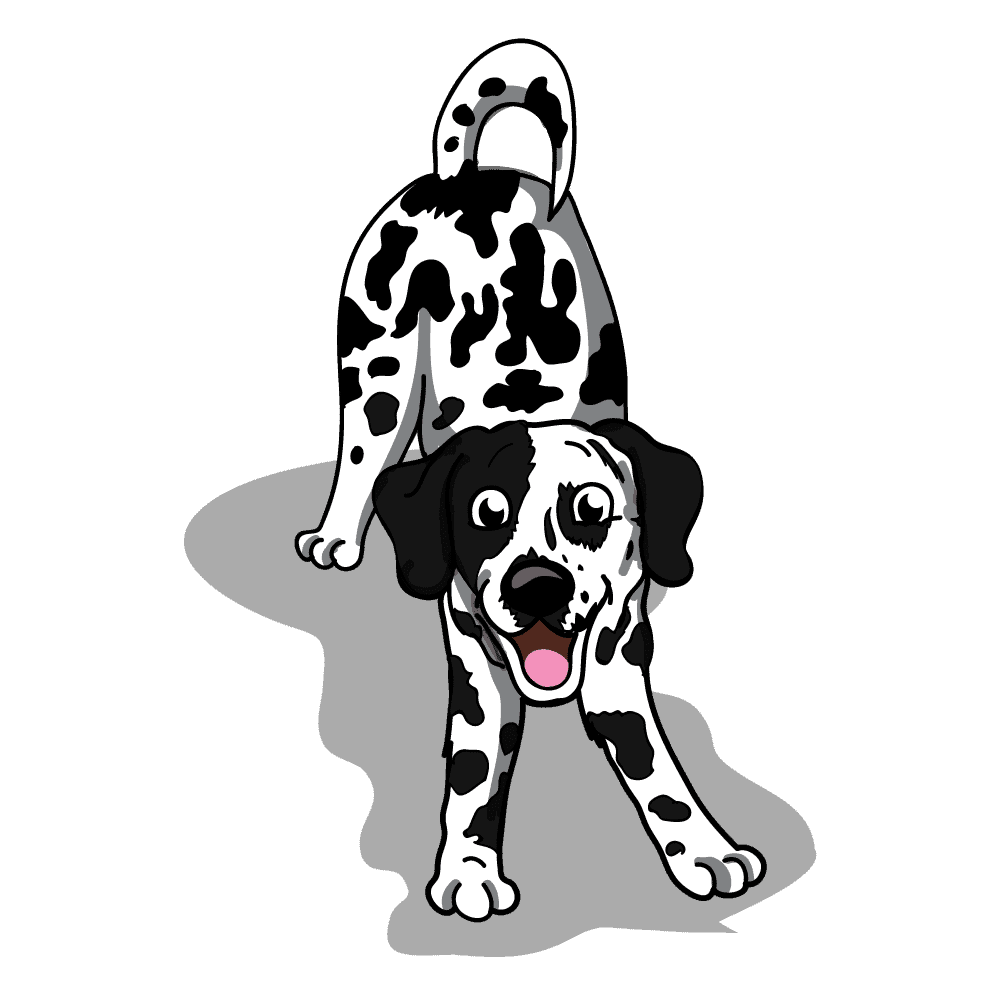 Best puppy training near me – go anywhere dog®, minneapolis & twin cities, mn