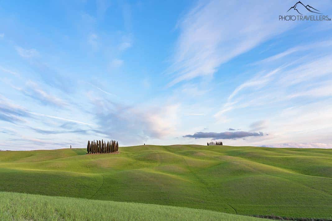 Die Zypressen von San Quirico d'Orcia im Val d'Orcia und der Zypressenring
