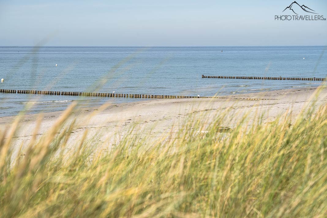 Dünen und Sandstrand auf Hiddensee