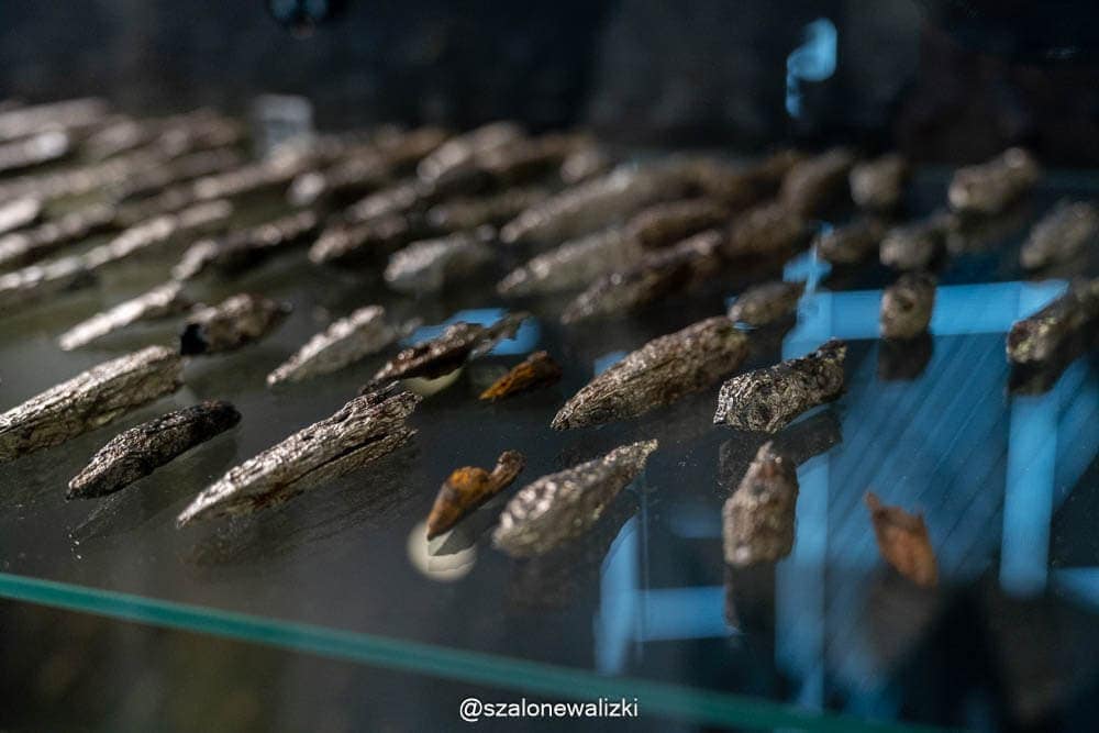 muzeum bitwy pod grunwaldem