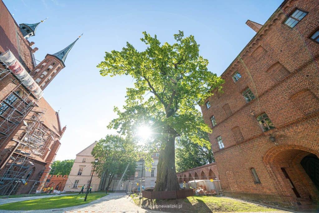 frombork