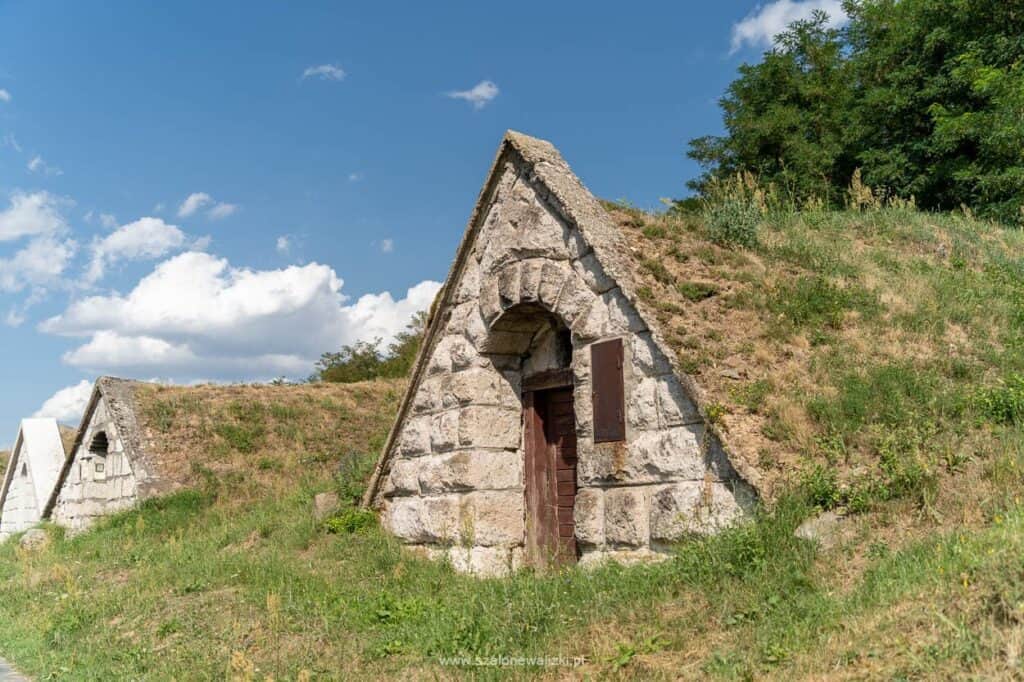 co warto zobaczyć w Tokaju