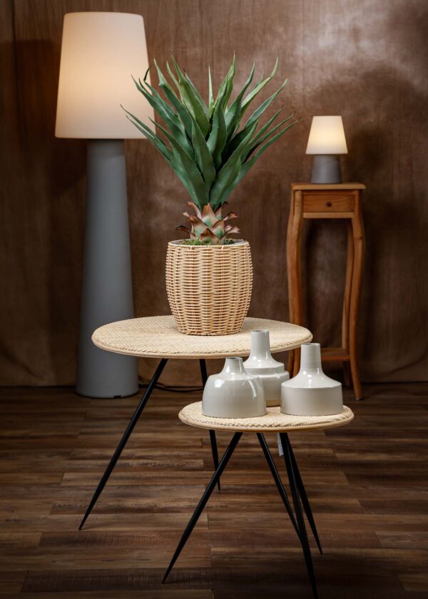 Vista frontale del prodotto - Agave artificiale finta realistica in un vaso di legno su un tavolino rotondo