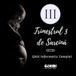 Trimestrul 3 de Sarcină: Ghid Informații Sfaturi Utile pentru Mamă și Făt trimestrul 3 de sarcina