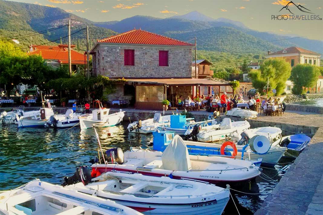 Viele kleine Boote ankern vor einer Taverne im Hafen von Skala Sikaminias