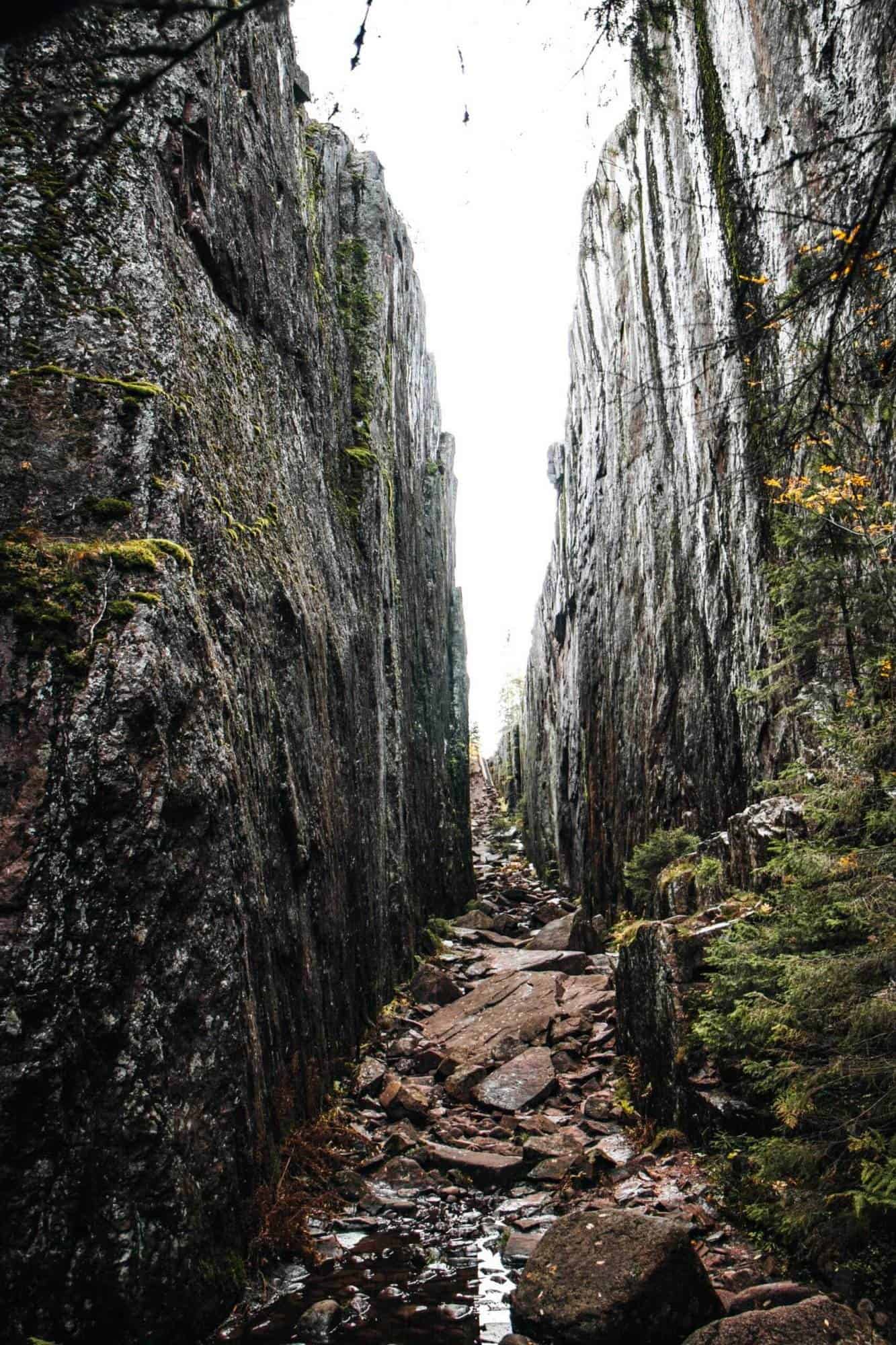 IMG_1436 skuleskogen -