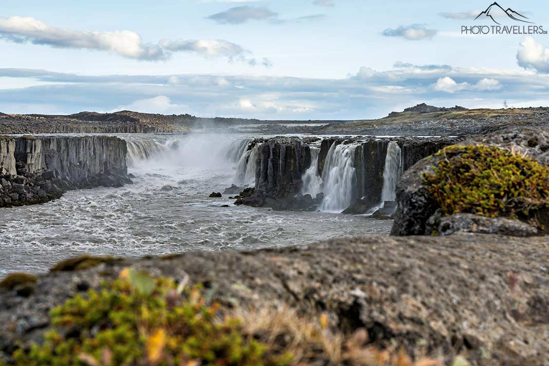 Der Blick auf den Selfoss, Island