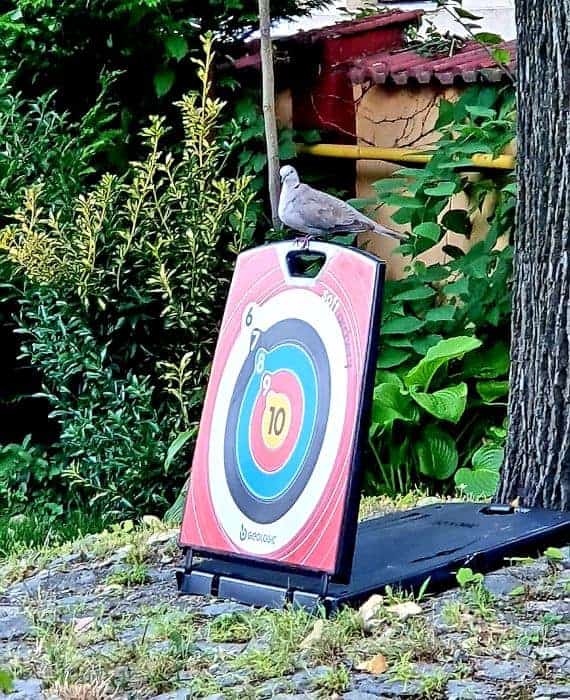 Amai Garden - Gradina cu Loc de Joaca Petreceri in Inima Bucurestiului playground outdoor