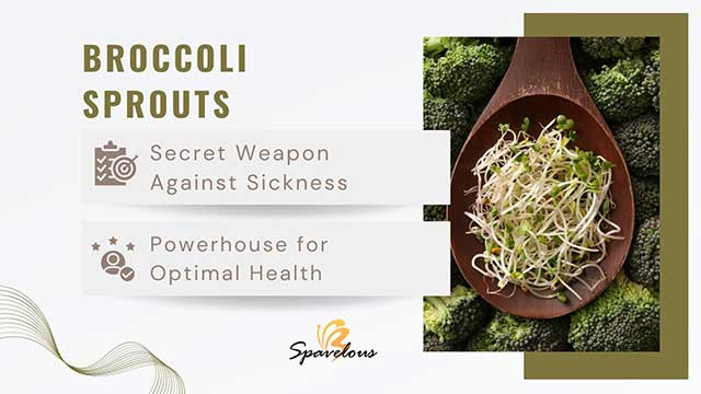BROCCOLI SPROUTS: YOUR SECRET WEAPON AGAINST SICKNESS 3 health benefits of broccoli sprouts