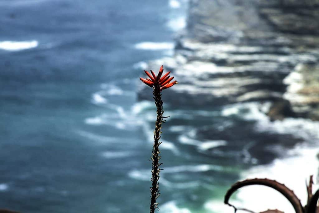 Przylądek Dobrej Nadziei