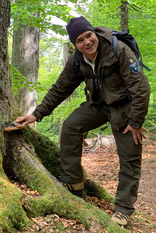 Nationalpark-Ranger Sigi erklärt die Flora im Bayerischen Wald