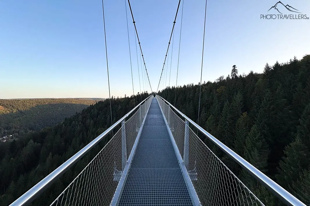 Die Wildline Hängebrücke im Schwarzwald