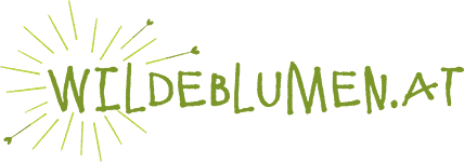 Wildeblumen