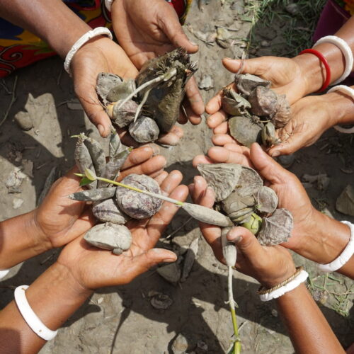 Sponsoring: Environmental protection projects
