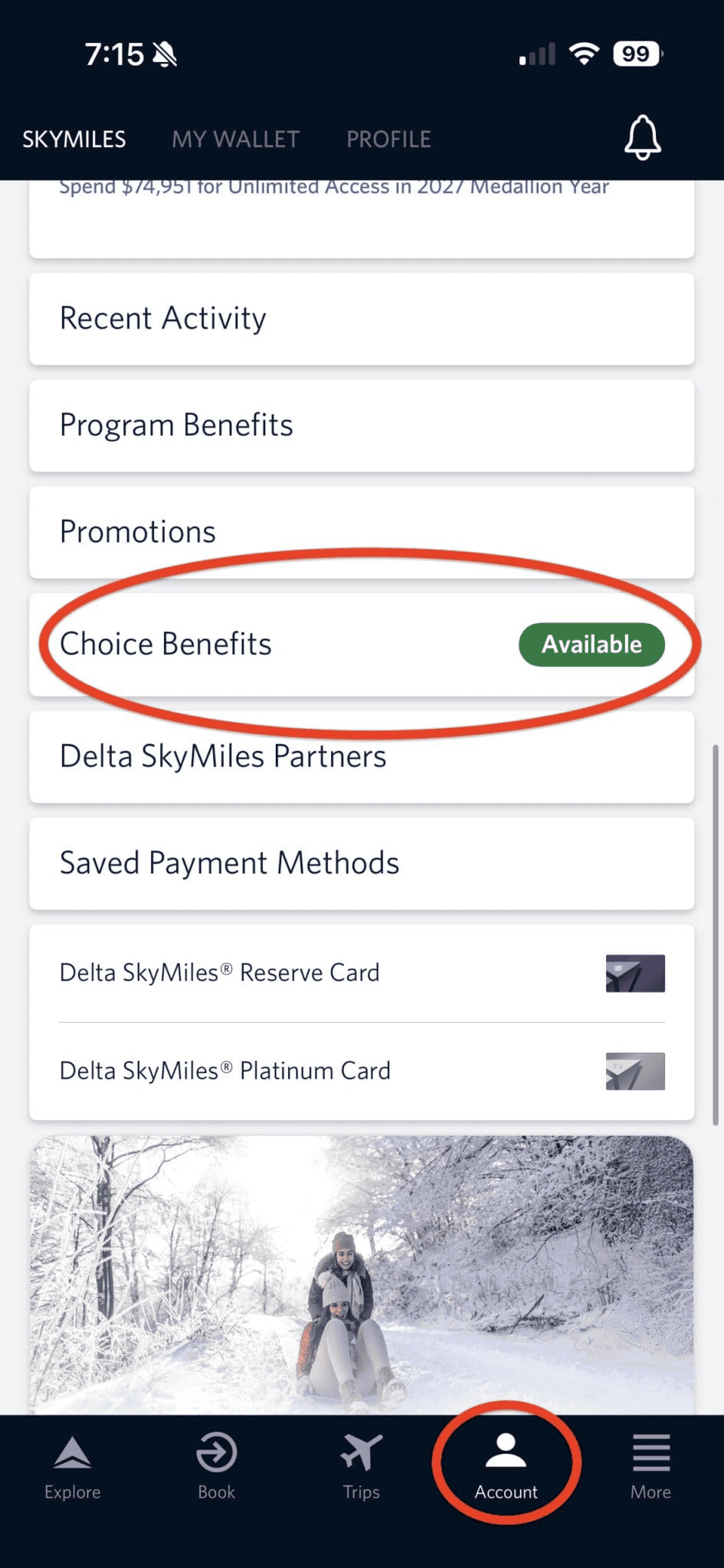 Delta Choice Benefits: Eligibility, Selection, and Real Value in the Delta SkyMiles Medallion Program 4 Choice Benefits Section