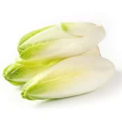 andiva endive endive indivia endibia Endivie legume ordonate alfabetic gokid