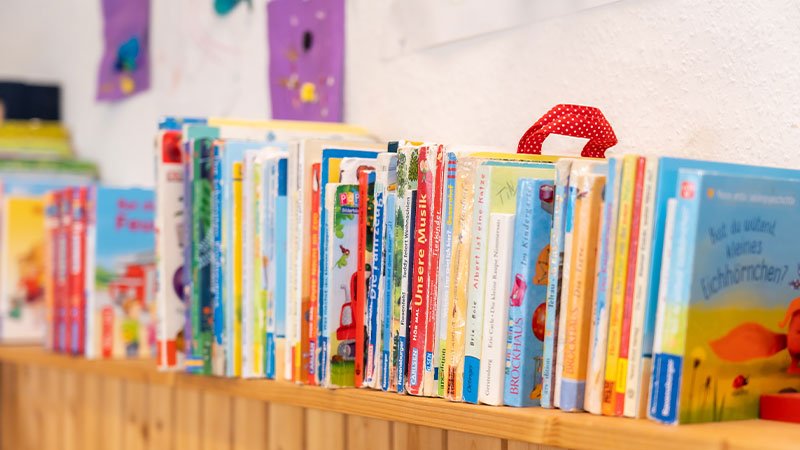 Dieses Bild zeigt Bücher in einem Regal