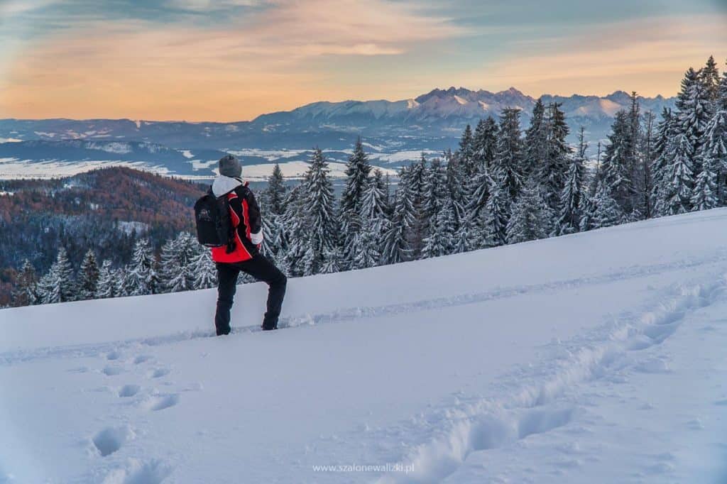 widok na Tatry z Turbacza