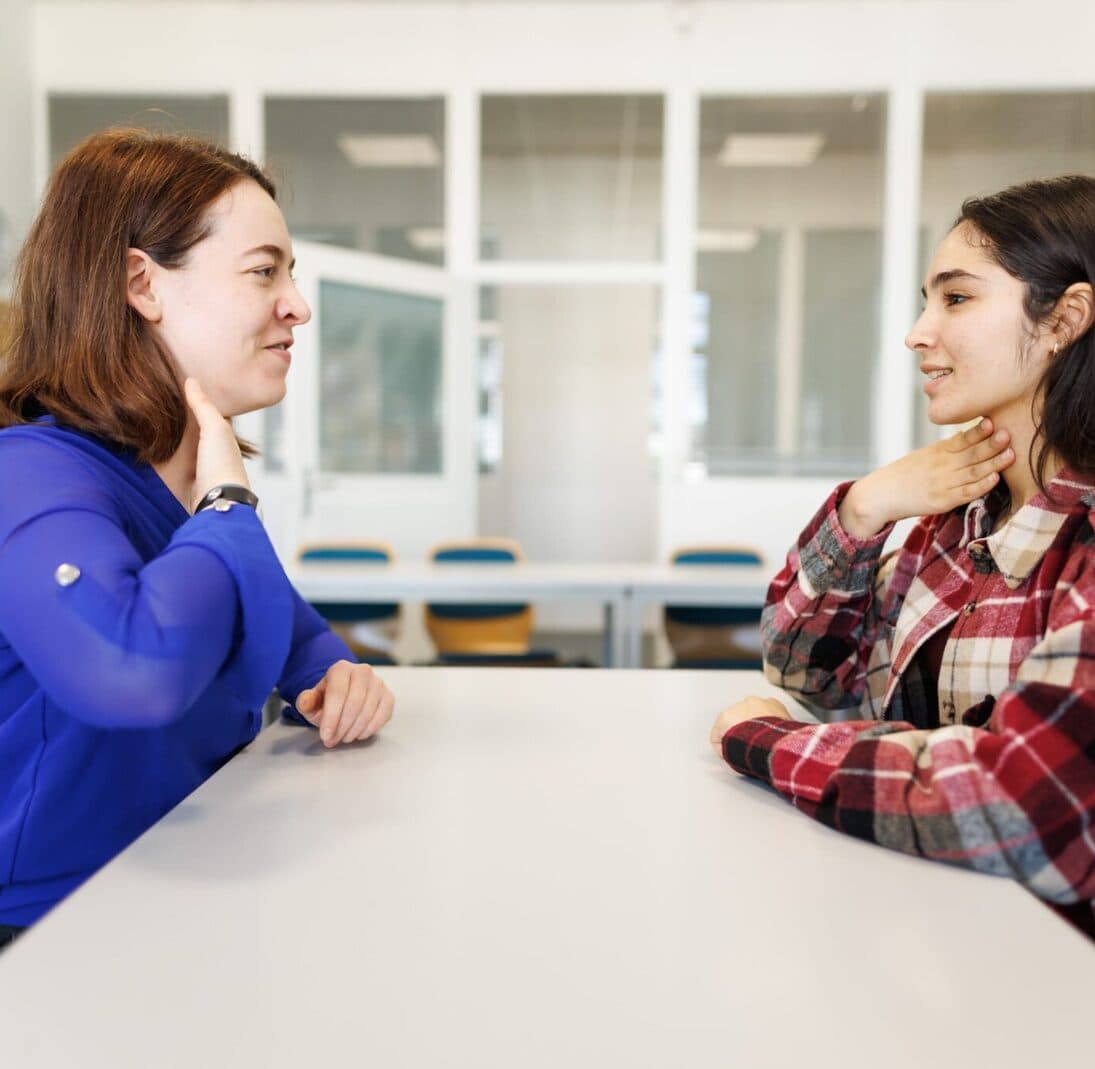 Vorbereitungskurse fr die Prfung telc Deutsch C1 Hochschule - bibis