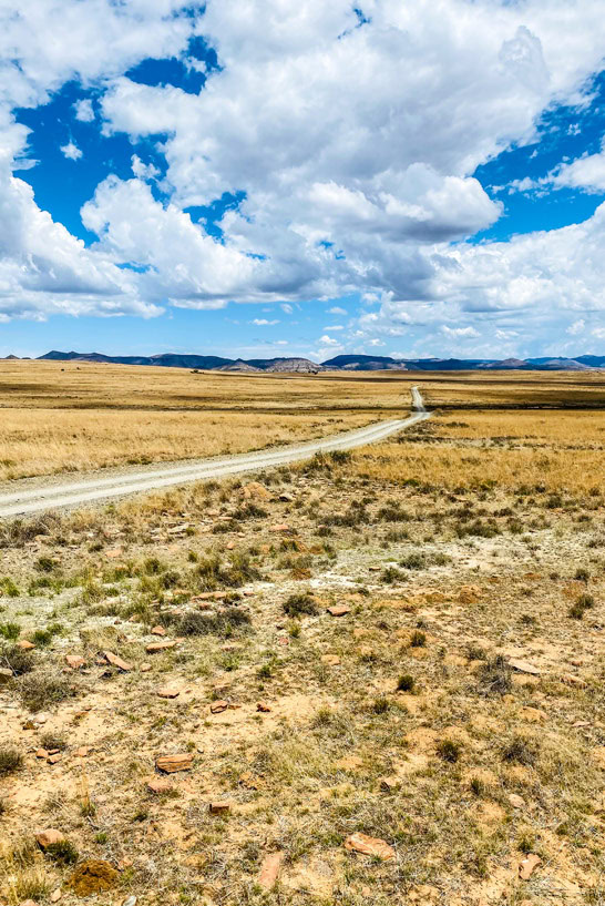 Die Karoo Wüste in Südafrika