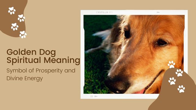 Golden Dog Spiritual Meaning: Symbol Of Prosperity And Divine Energy | Spavelous
