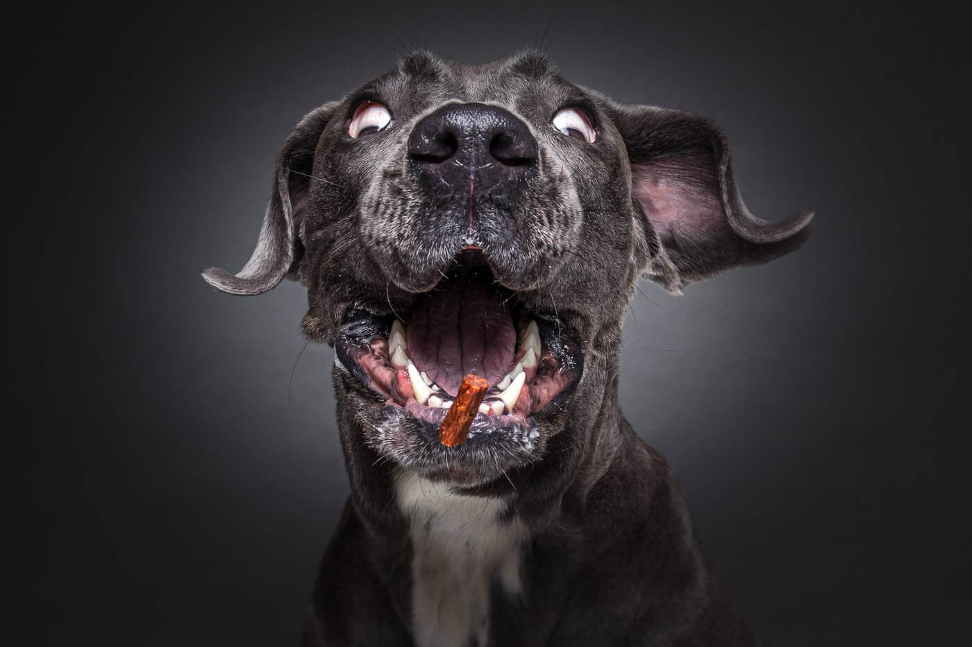 Fotograf Thore Scheu Tierfotograf_Thore_Scheu_THS_3950