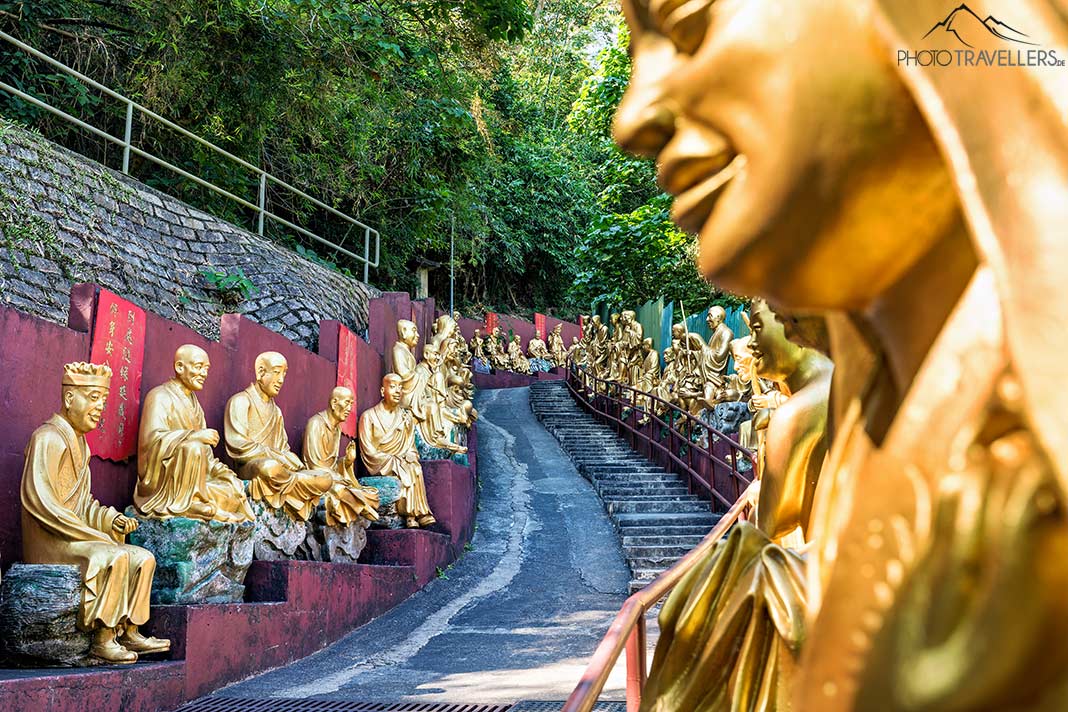 Goldene Buddhas im Ten Thousand Buddhas Monastery in Hongkong