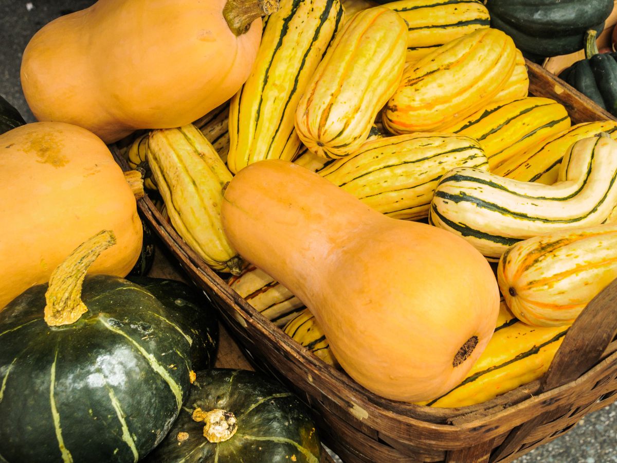 Seasonal Eating Secrets: 7 Winter Fruits | Vegetables Black Women 50+ Should Know About Seasonal Eating Secrets: 7 Winter Fruits | Vegetables Black Women 50+ Should Know About - Best Spa and Salon Abuja