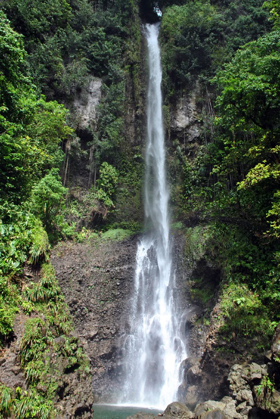 Die Middleham Falls