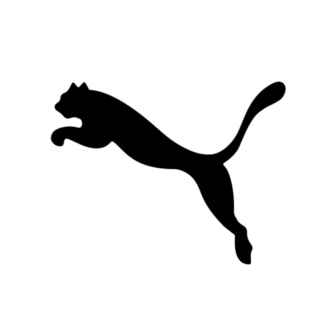 Keynote Speaker Schweiz 18 puma