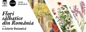 Flori salbatice_12 aprilie 2019 web