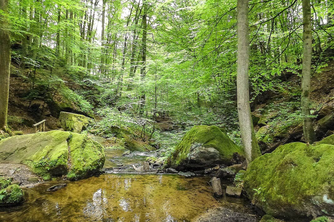 Die Karlstalschlucht im Pfälzerwald bringt kühles Wasser