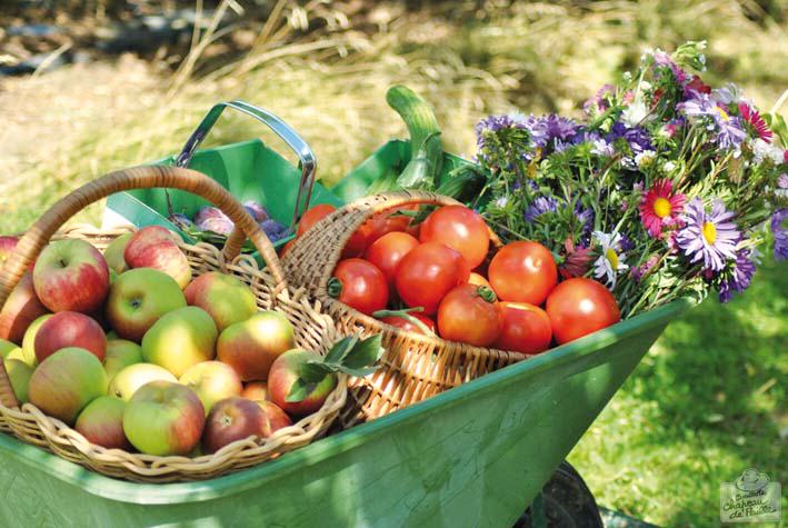 Ferme chapeau de paille Ferme chapeau de paille