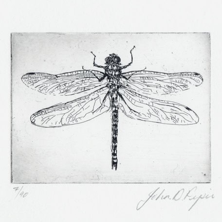 C3146 Dragonfly 7/90 – John Douglas Piper