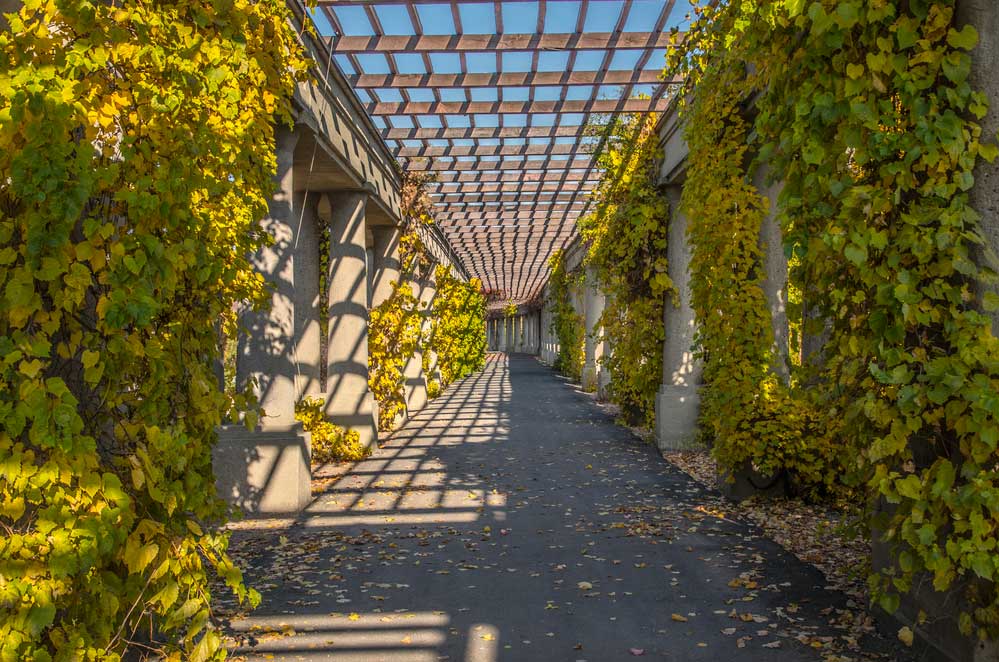 Pergolenweg in einem Park in Breslau