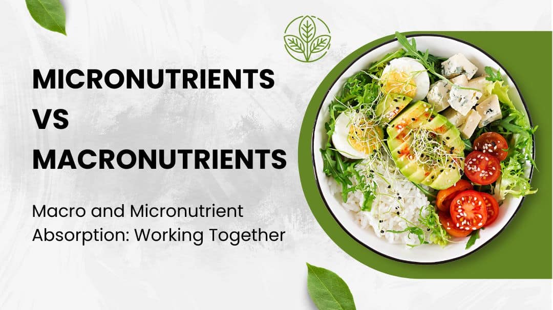 micronutrients vs macronutrients