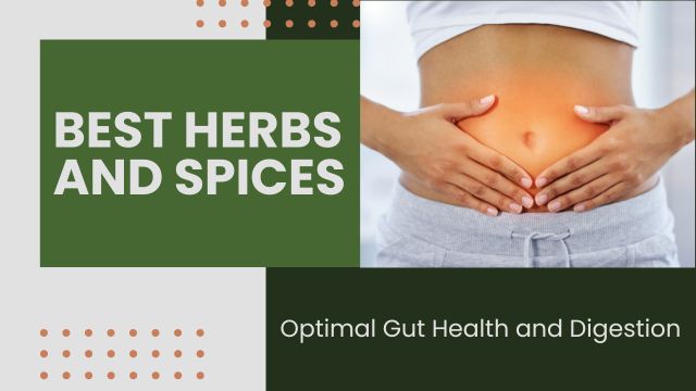 TOP 9 BEST HERBS AND SPICES FOR OPTIMAL GUT HEALTH AND DIGESTION 3 the best herbs for gut health and digestion