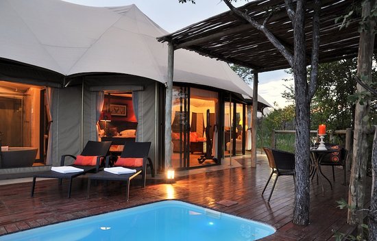 The Elephant Camp in Zimbabwe