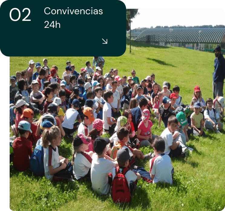 servicios de convivencia